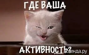 Без названия.jpeg_new.webp