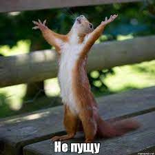 Без названия.jpg