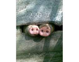 Без названия.jpg