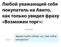 Без названия.png