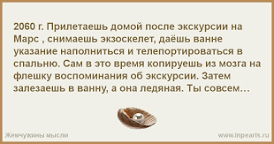 Без названия.png