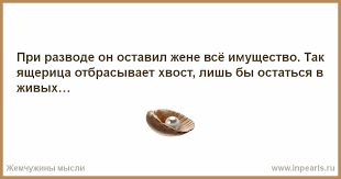 Без названия.png