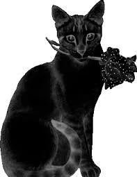 Без названия.webp