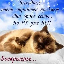 Без названия.webp