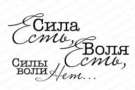 Без названия.jpg