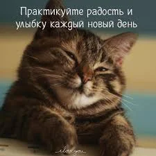 Без названия.webp