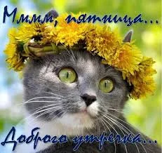 Без названия.webp