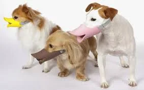 Без названия.webp