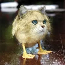 Без названия.jpg