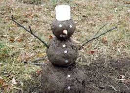 Без названия.webp