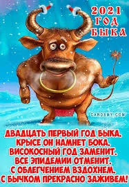 Без названия.webp