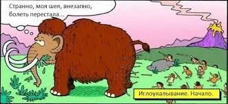 Без названия.webp