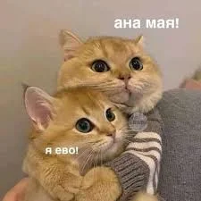 Без названия.webp