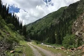 Без названия.webp