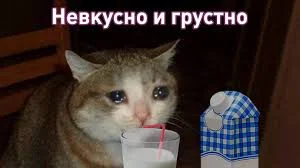 Без названия.webp