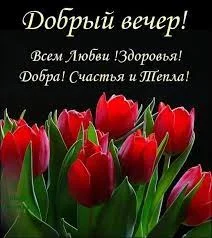 Без названия.webp