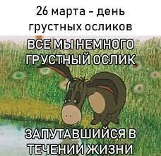 Без названия.webp