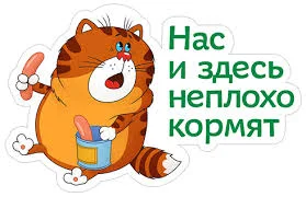 Без названия.webp