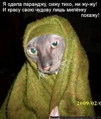 Без названия.webp