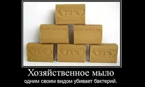 Без названия.webp