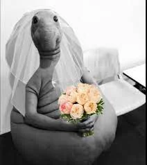 Без названия.webp