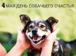 Без названия.webp