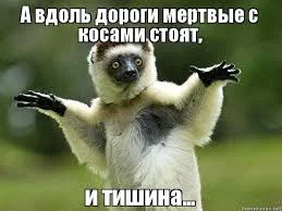 Без названия.webp