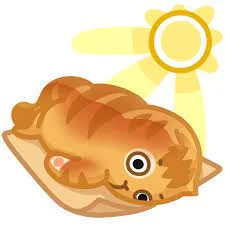 Без названия.webp