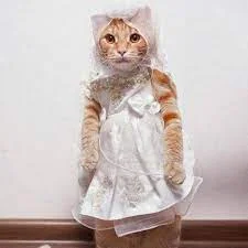 Без названия.webp