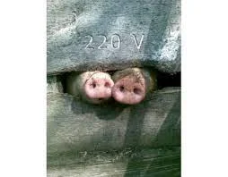 Без названия.webp