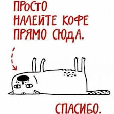 Без названия.webp