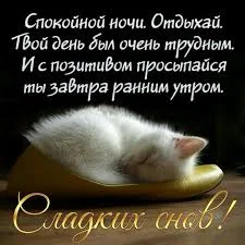 Без названия.webp