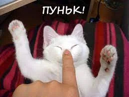 Без названия.webp