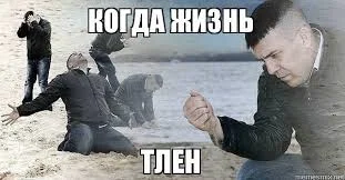 Без названия.webp