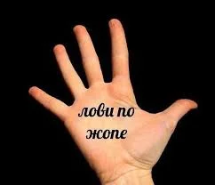 Без названия.webp