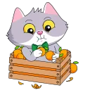 Без названия.webp