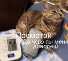 Без названия.webp