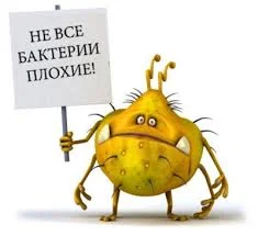 Без названия.webp