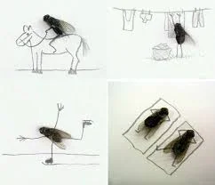 Без названия.webp