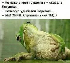 Без названия.webp