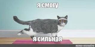 Без названия.webp