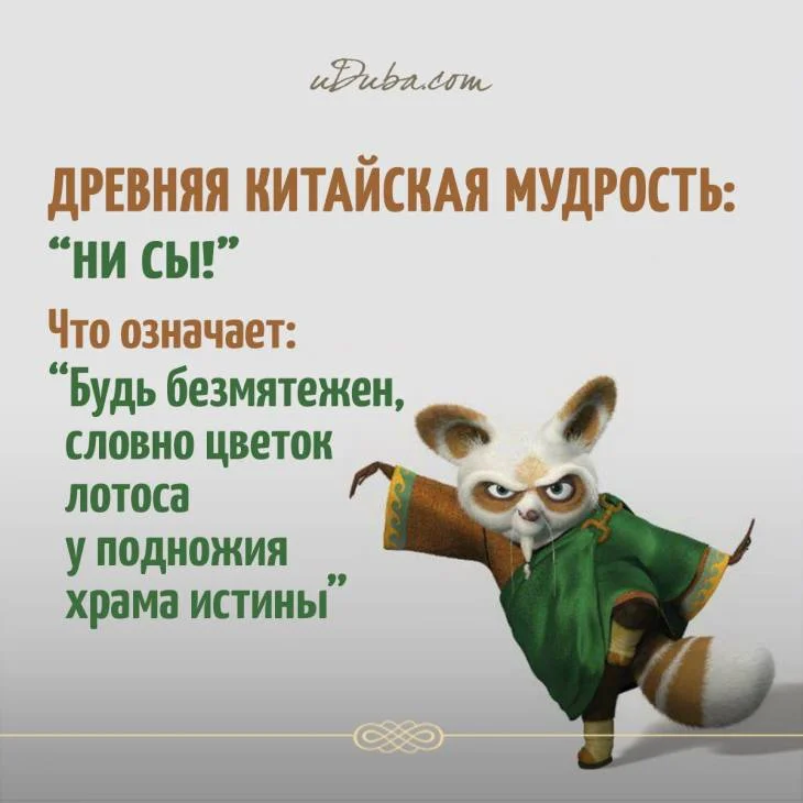 Без названия.webp