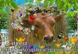 Без названия.webp