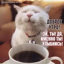 Без названия.webp