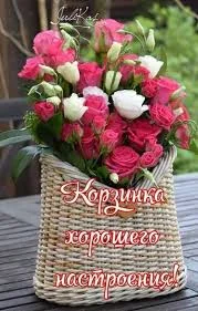 Без названия.webp