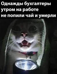 Без названия.webp