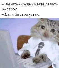 Без названия.webp