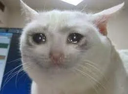 Без названия.webp