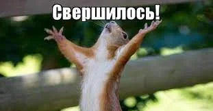 Без названия.webp