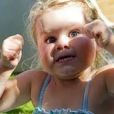 Без названия.webp